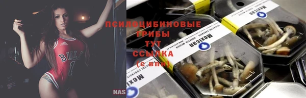 гашик Кодинск