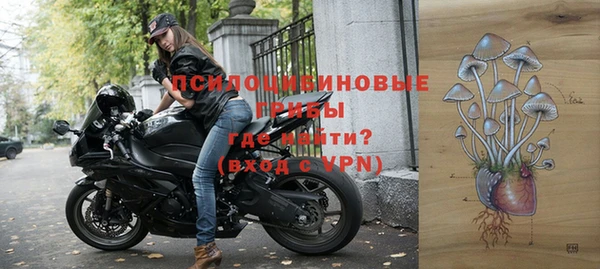 амф Козловка