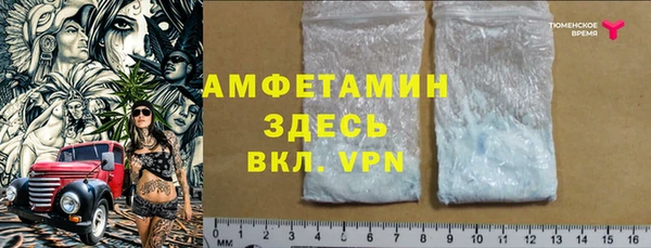 амф Козловка