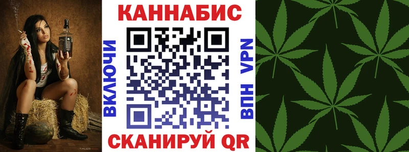 где купить наркоту  Щёлково  omg маркетплейс  Шишки марихуана THC 21% 